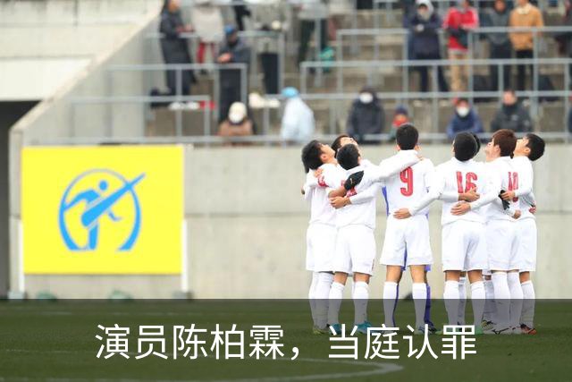 演员陈柏霖，当庭认罪